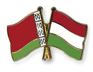 Беларусь - Венгрия прогноз на матч